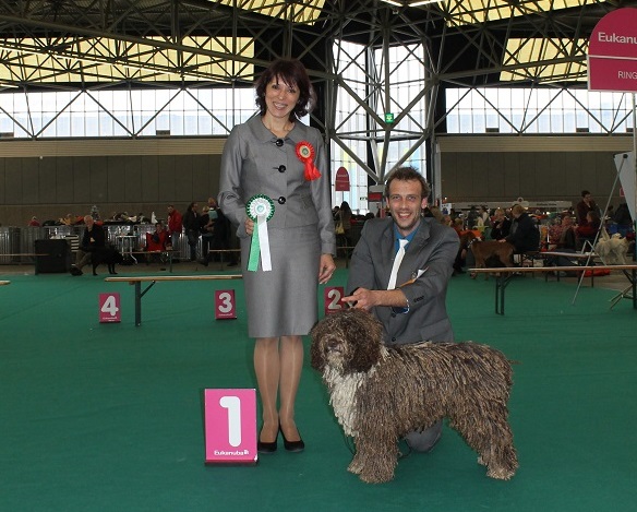Amsterdam Winner 2013