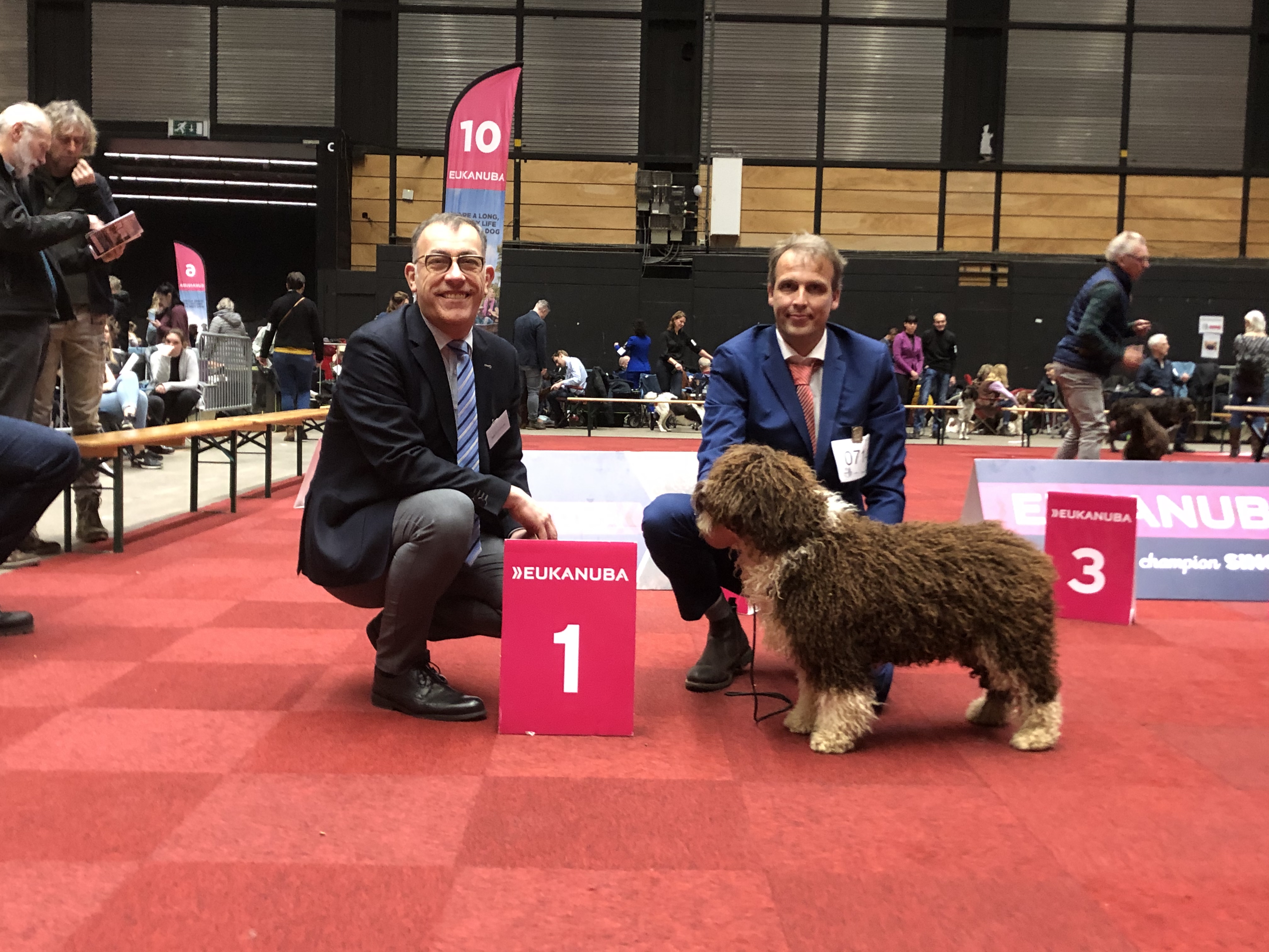 Spaanse Waterhond Zeb, Beste v/h Ras