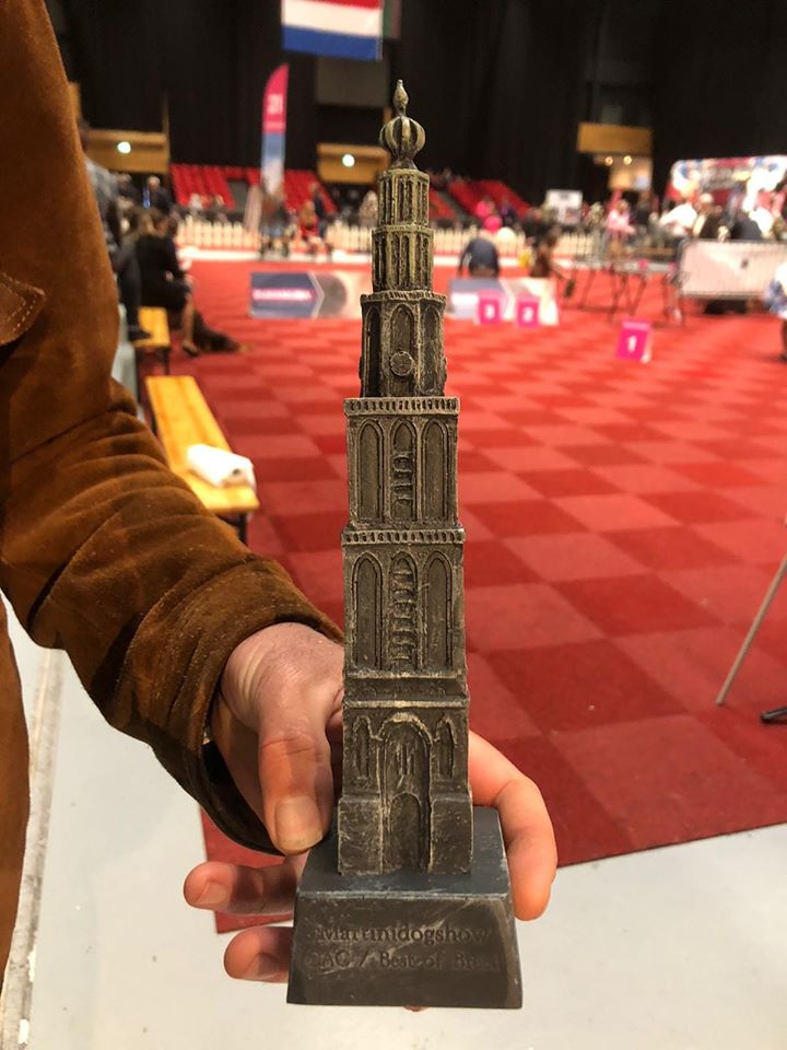 BOB Beker, Martini Toren Spaanse Waterhond Zeb