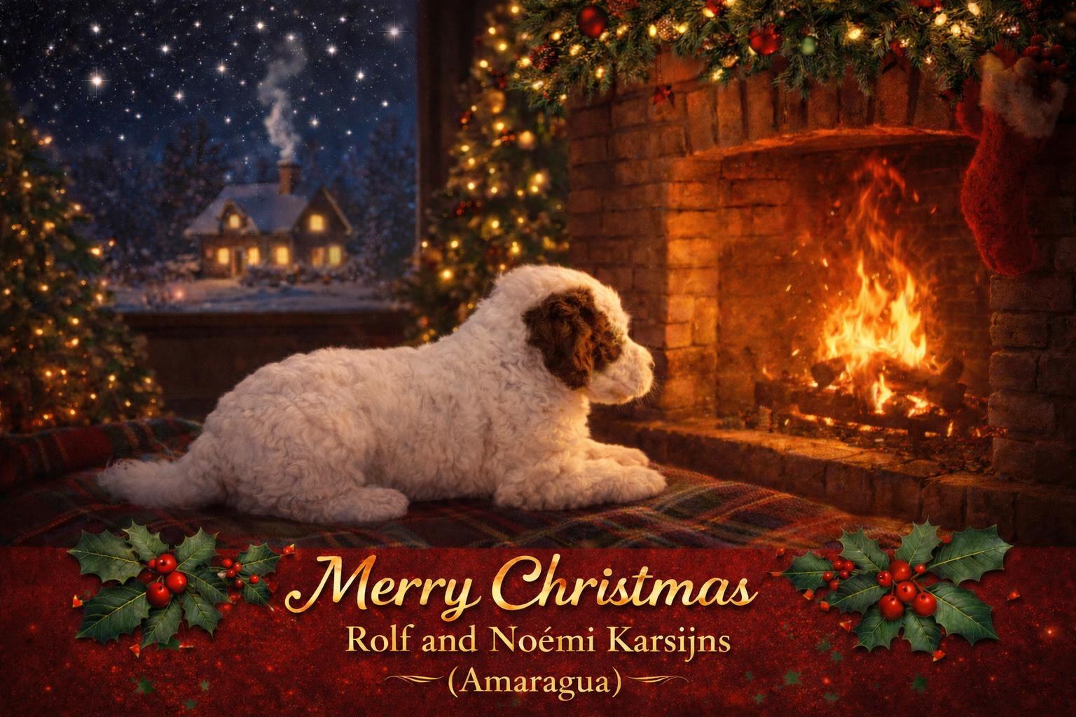 Fijne feestdagen Amaragua Spaanse Waterhonden