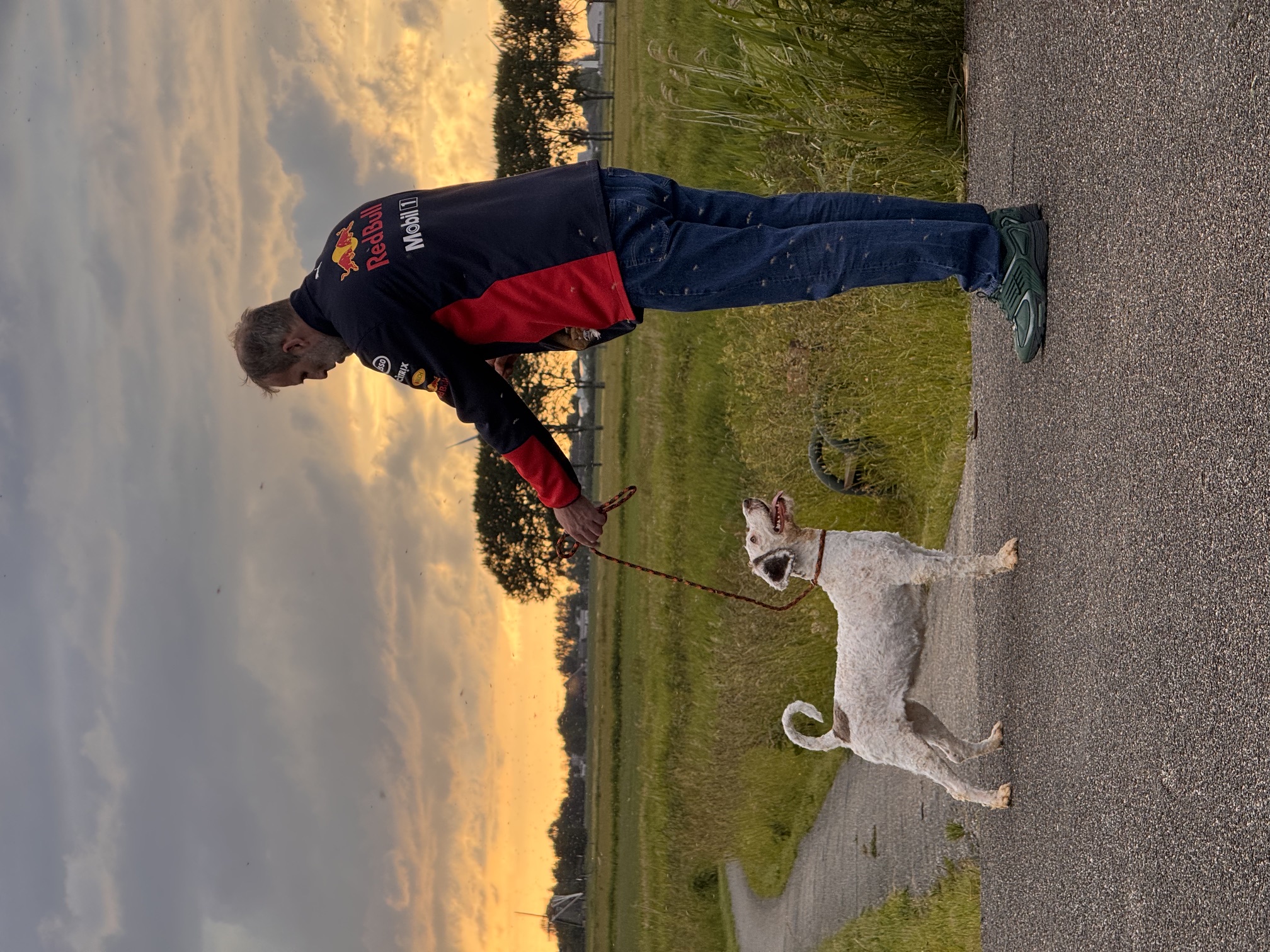 Spaanse Waterhond Filli herplaatser