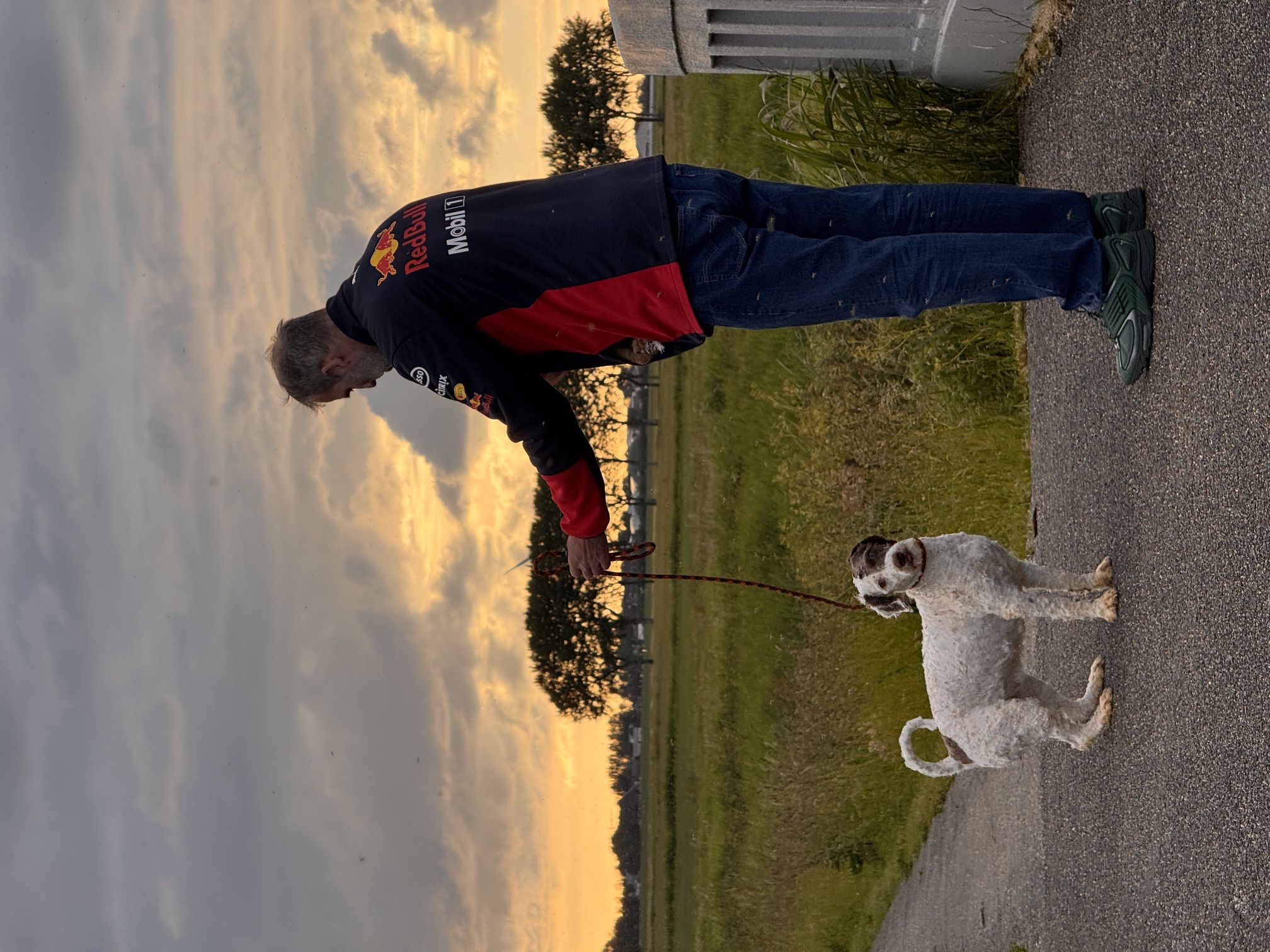 Spaanse Waterhond Filli herplaatser