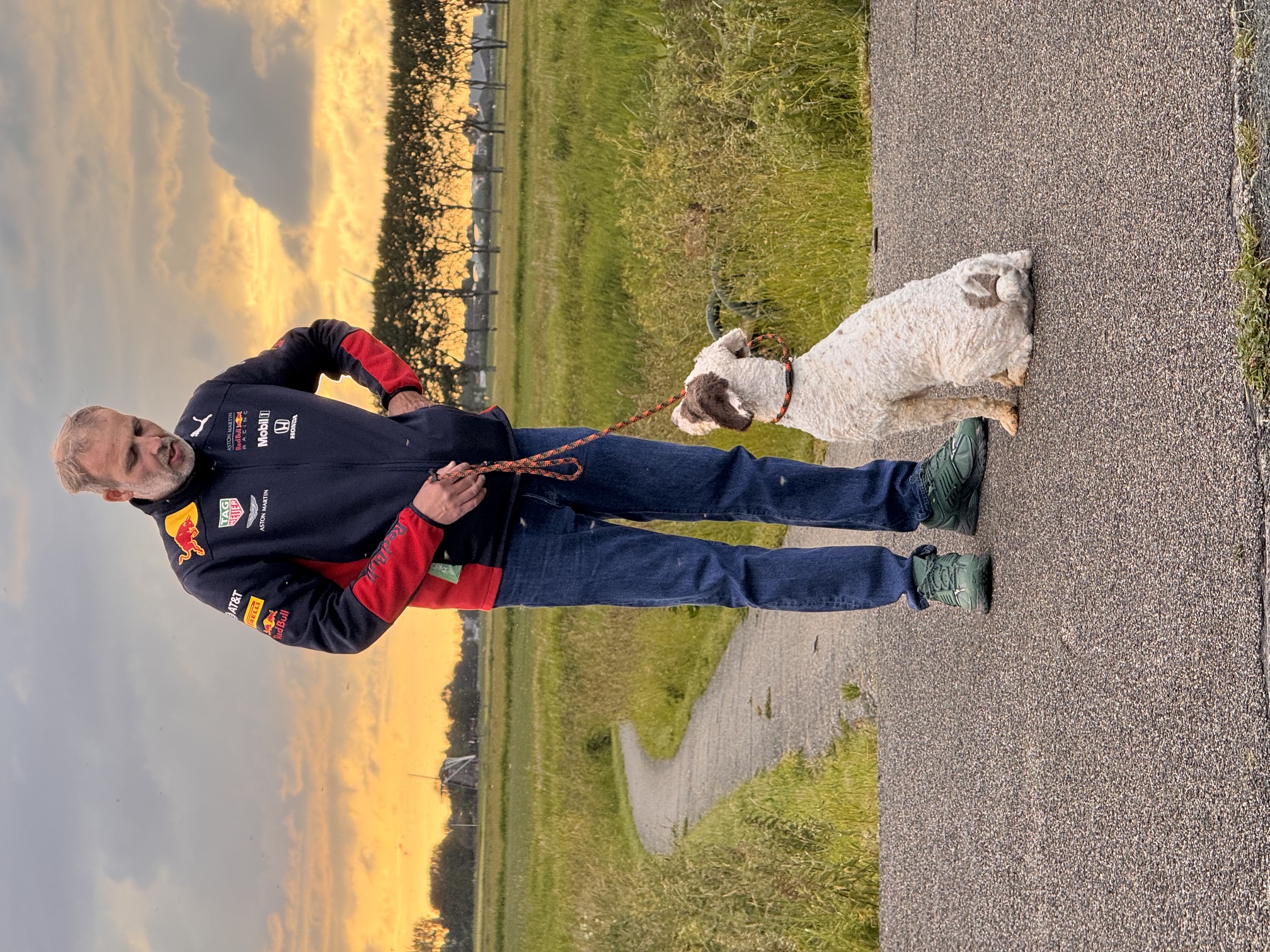 Spaanse Waterhond Filli herplaatser