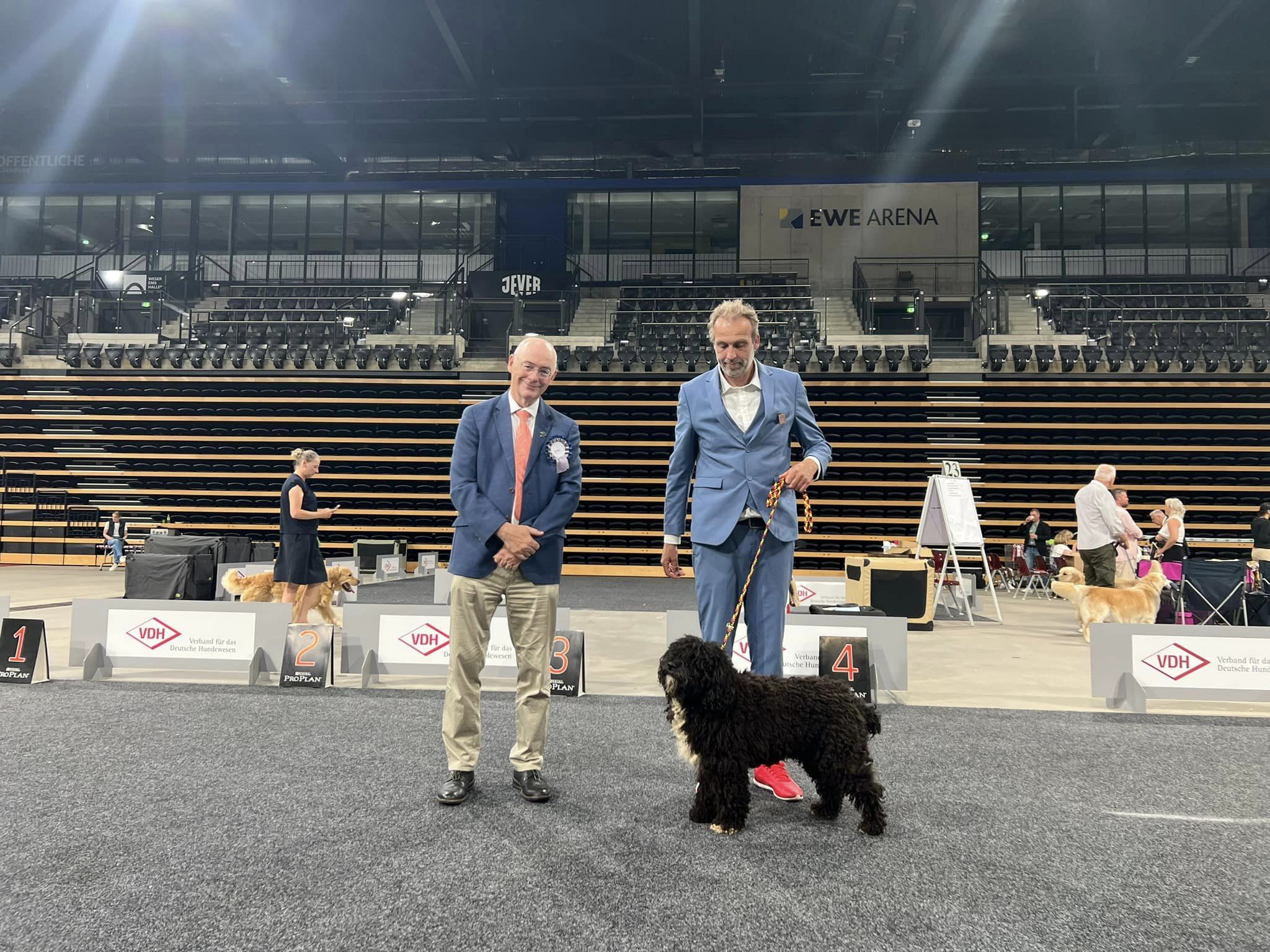 Spaanse Waterhond Beste reu met de keurmeester