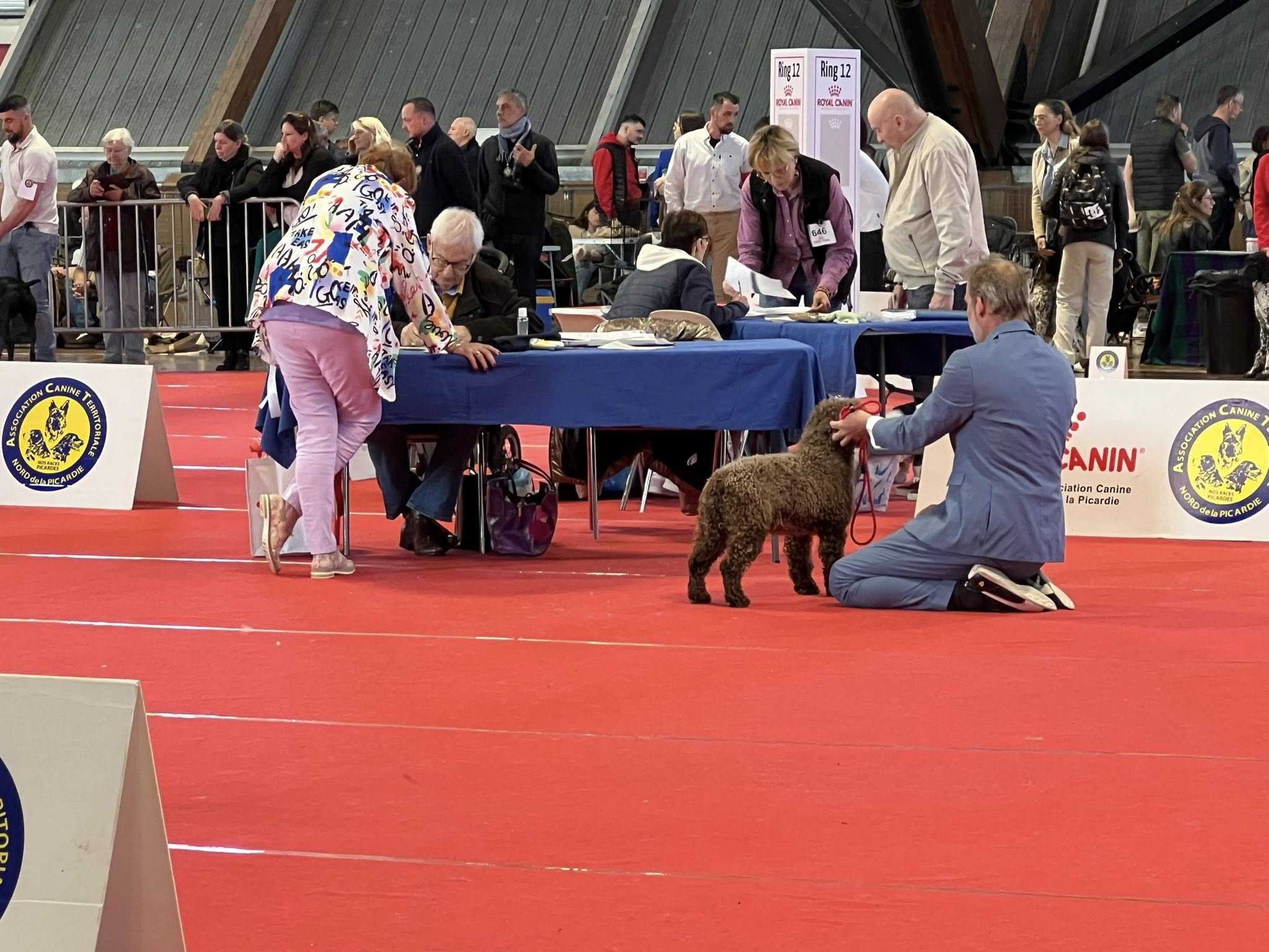 Spaanse Waterhond keuring
