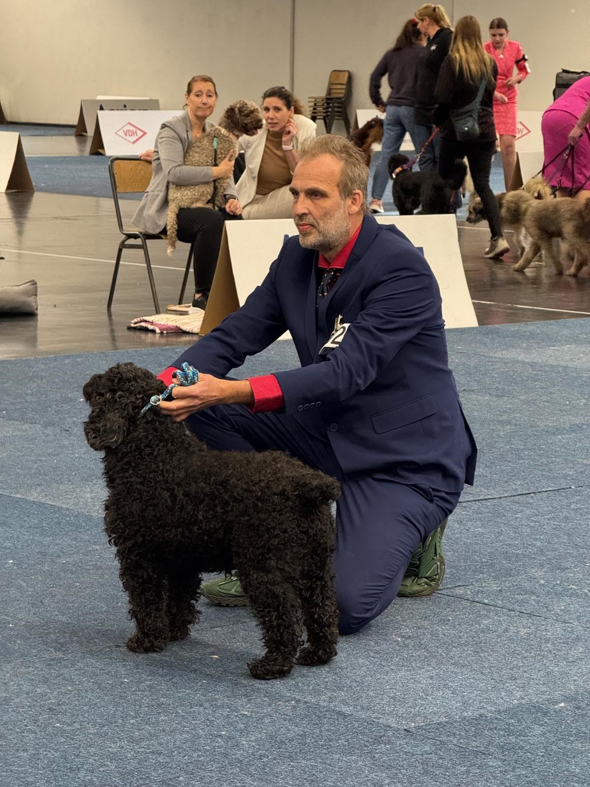 Spaanse Waterhond veteraan Bourbon