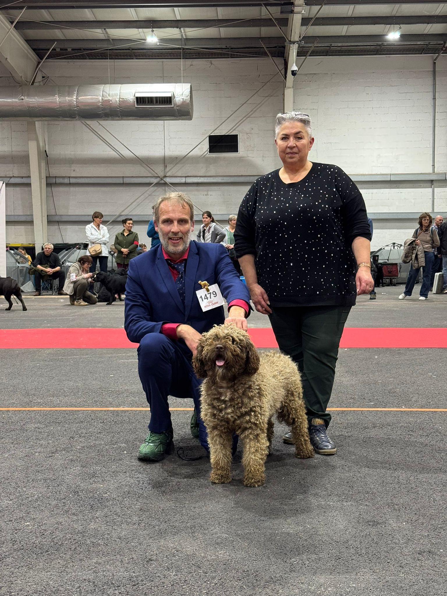 Spaanse Waterhond Lola Beste van het ras in Rouen
