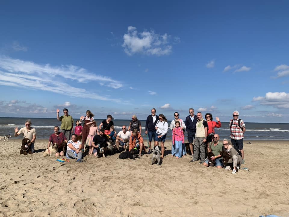 Amaragua Spaanse Waterhonden Wandeling aan zee