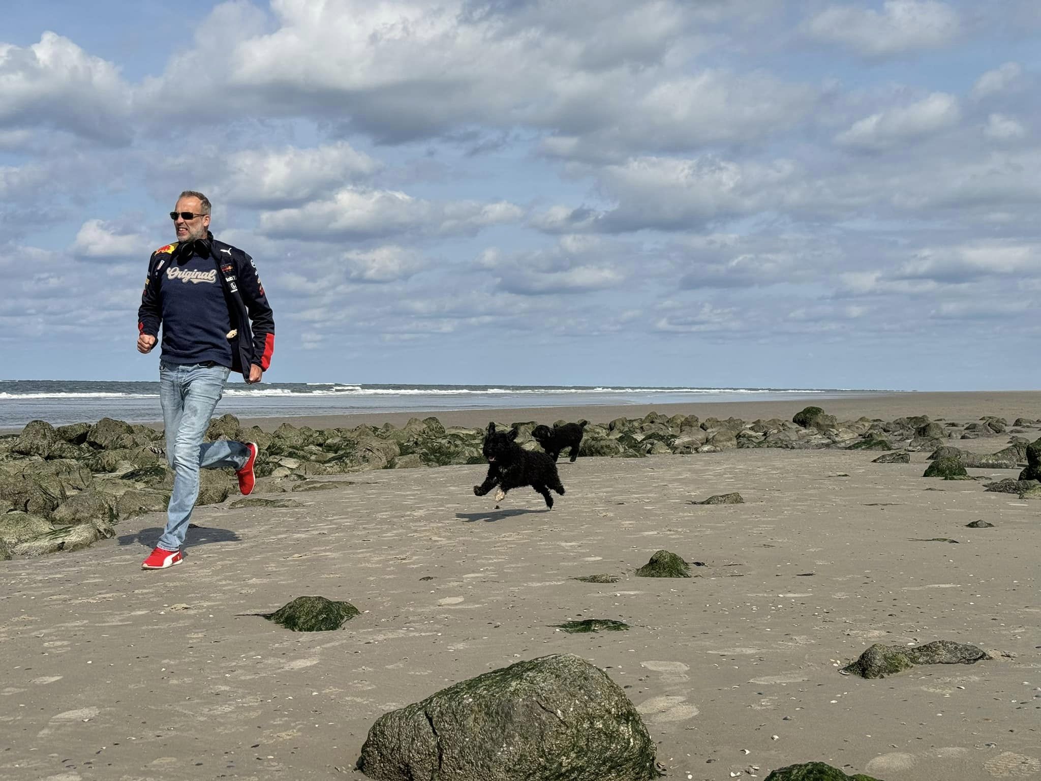 Spaanse Waterhonden op Ameland