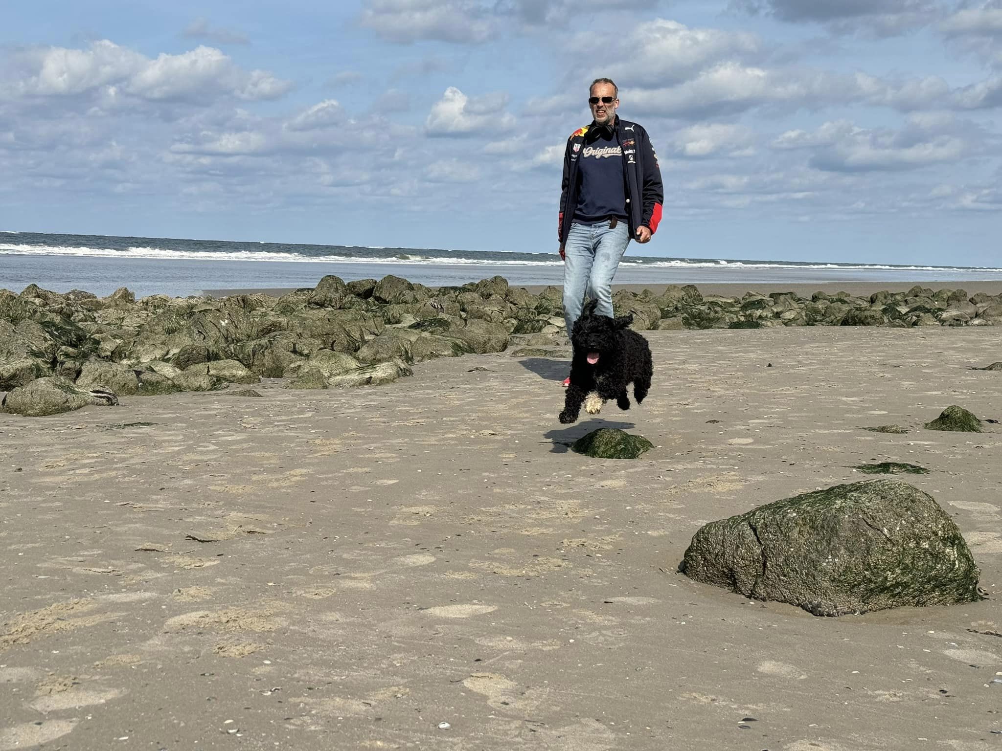 Een dag genieten met onze Spaanse Waterhonden op Ameland