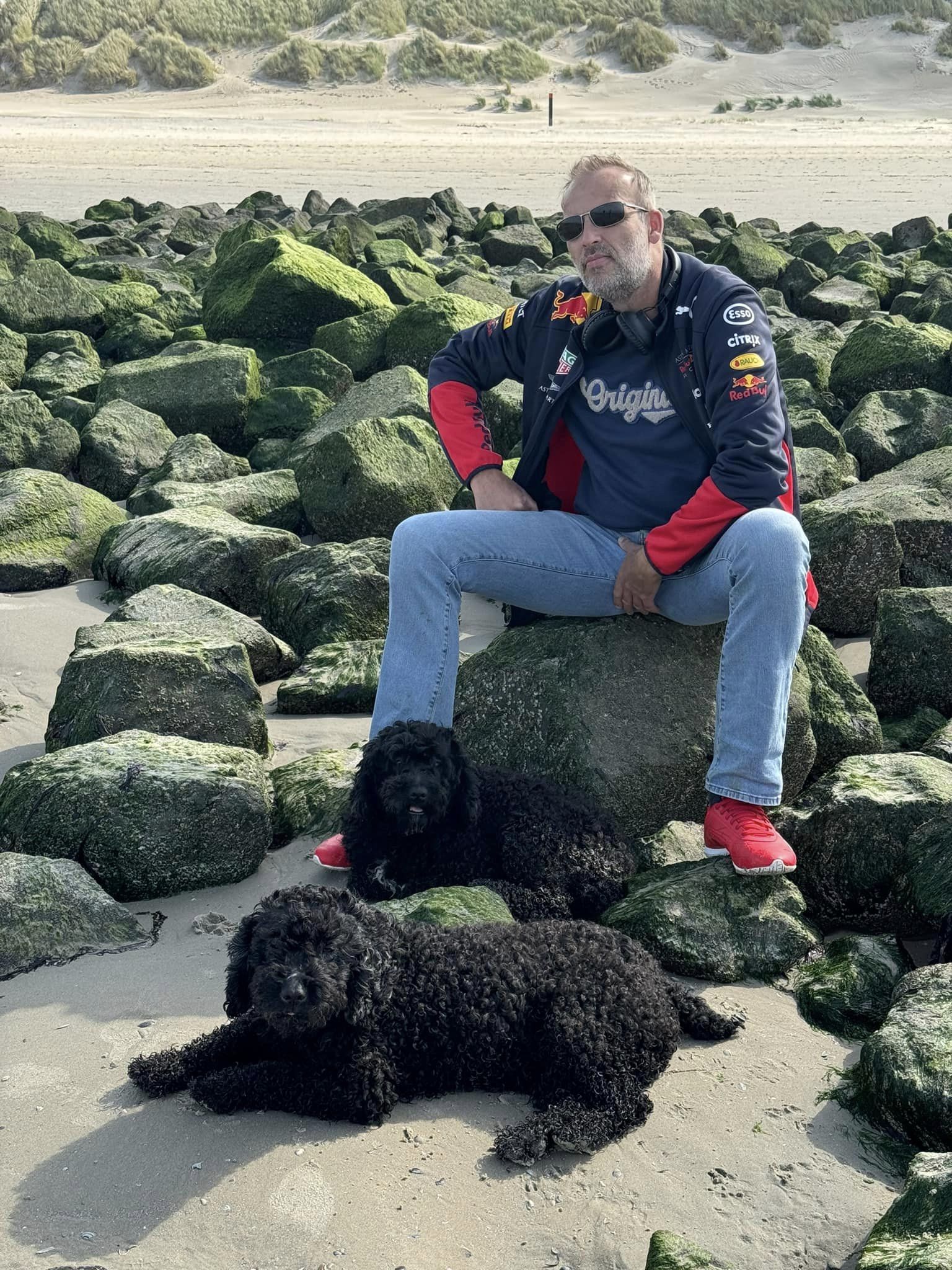 Lekker naar Ameland met onze Spaanse Waterhonden