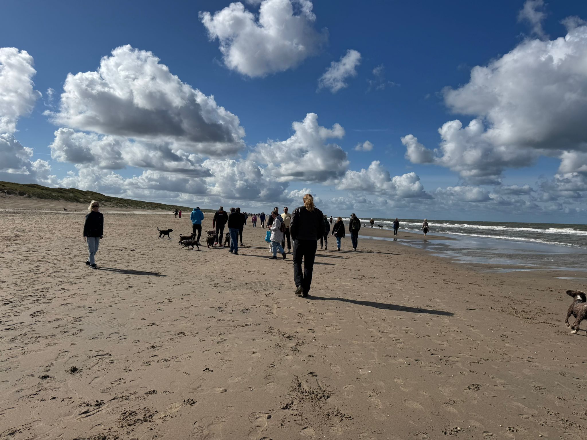 Spaanse Waterhonden wandelingen van de Amaragua