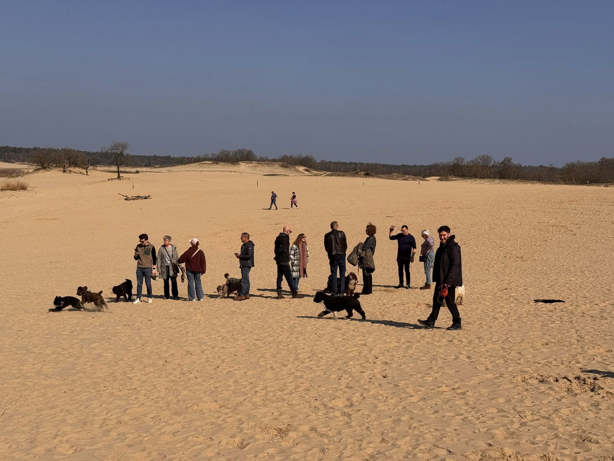 Amaragua Spaanse Waterhonden 2e wandeling 2026