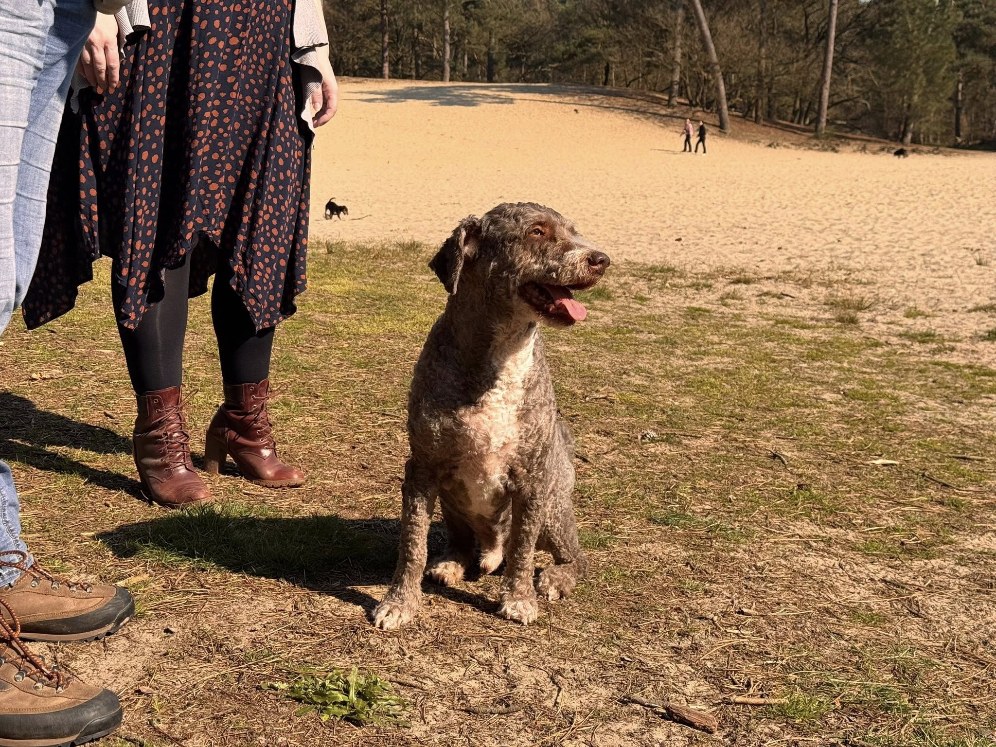 Amaragua Spaanse Waterhonden 2e wandeling 2026